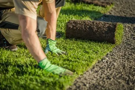 Landscaping Background